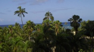 Kapiolani Park – From the King with Aloha Kapiolani Park – From the King with Aloha