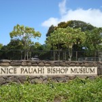 The Bishop Museum – Hawaii’s Finest Collections