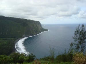 Wandering Along Hamakua