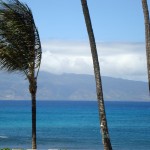 Maui Beaches – A Handful of the Best