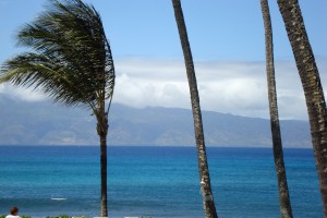 Maui Beaches – A Handful of the Best