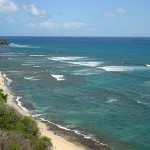 Diamond Head Lookout – Whales and Waves near Waikiki