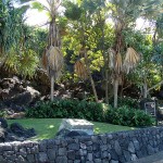Culture and History in Keauhou