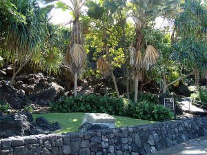 Culture and History in Keauhou